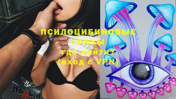 ГАЛЛЮЦИНОГЕННЫЕ ГРИБЫ Армянск