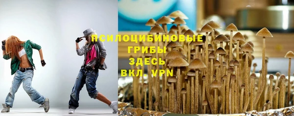 ГАЛЛЮЦИНОГЕННЫЕ ГРИБЫ Армянск