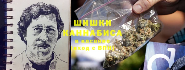 ГАЛЛЮЦИНОГЕННЫЕ ГРИБЫ Армянск